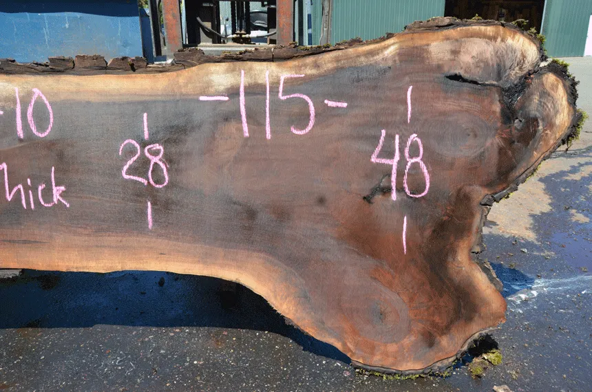 Oregon Black Walnut 081221-10